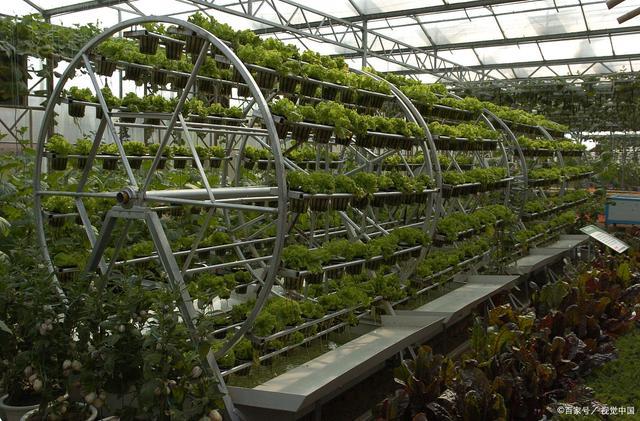 无土栽培是近几十年发展起来的一种作物栽培新型技术,是一种不用天然
