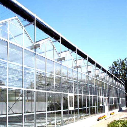 海南省海口市玻璃温室大棚 厂家供应智能连栋大棚 农业种植暖棚
