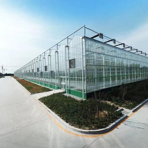 农业玻璃温室 大棚阳光生态餐厅温室 花卉养殖展厅 温室种植大棚
